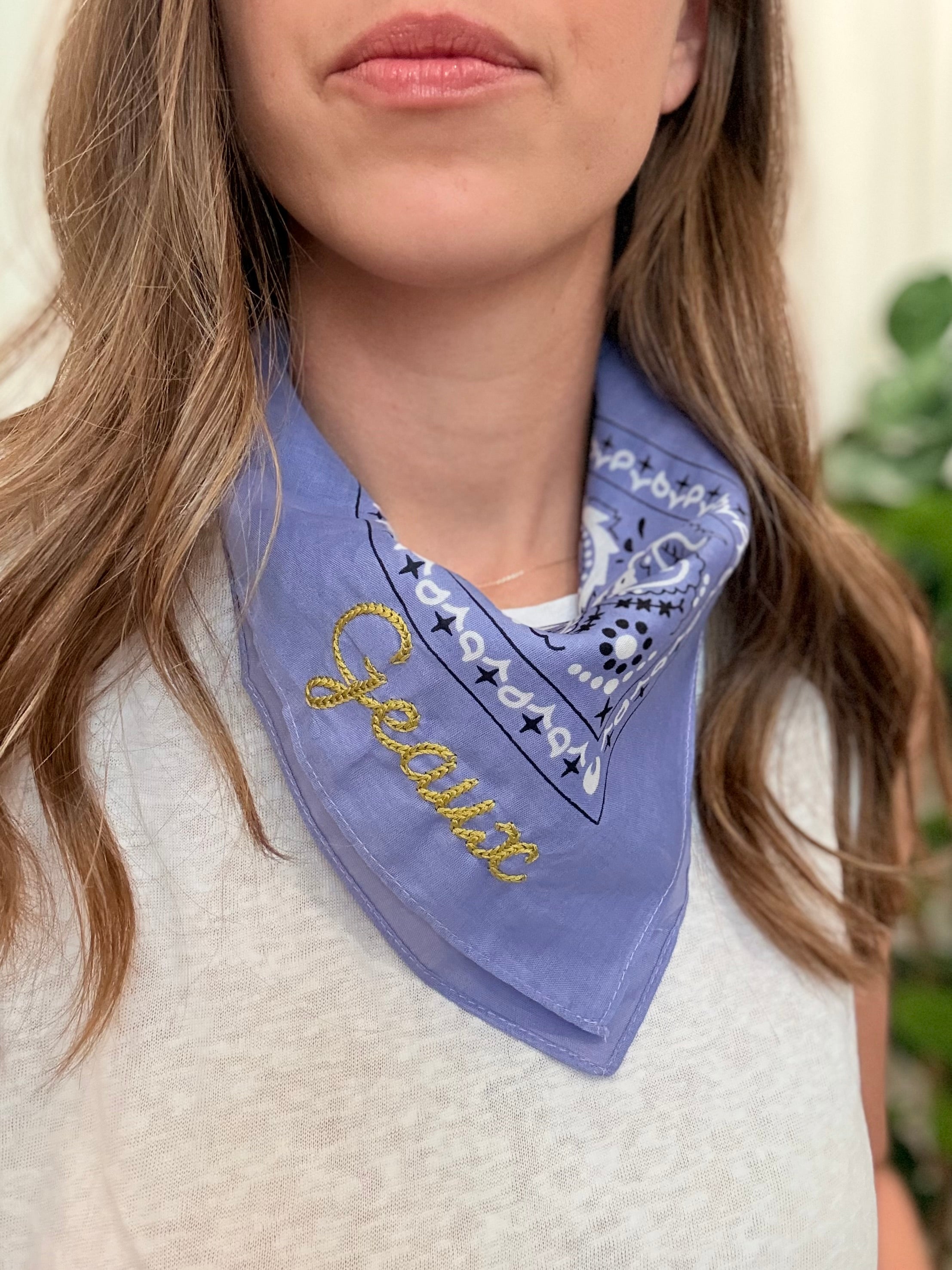 Gameday Bandana