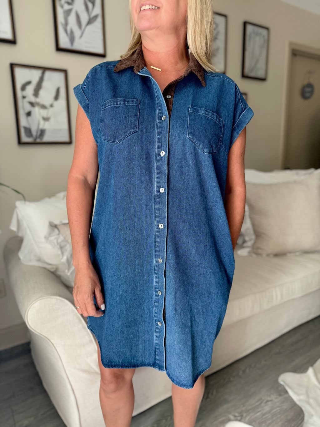 Mini Denim Collared Dress