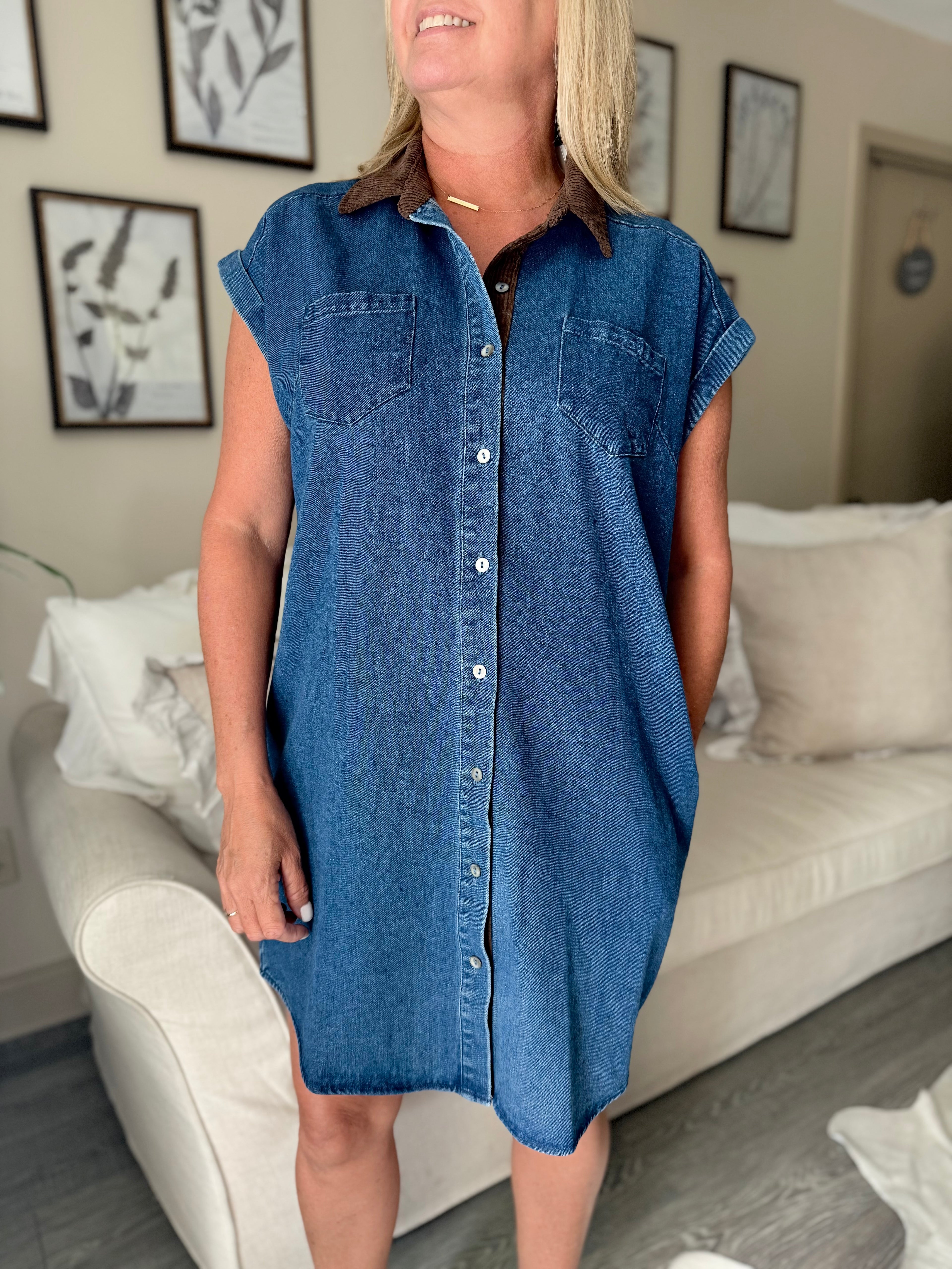 Mini Denim Collared Dress