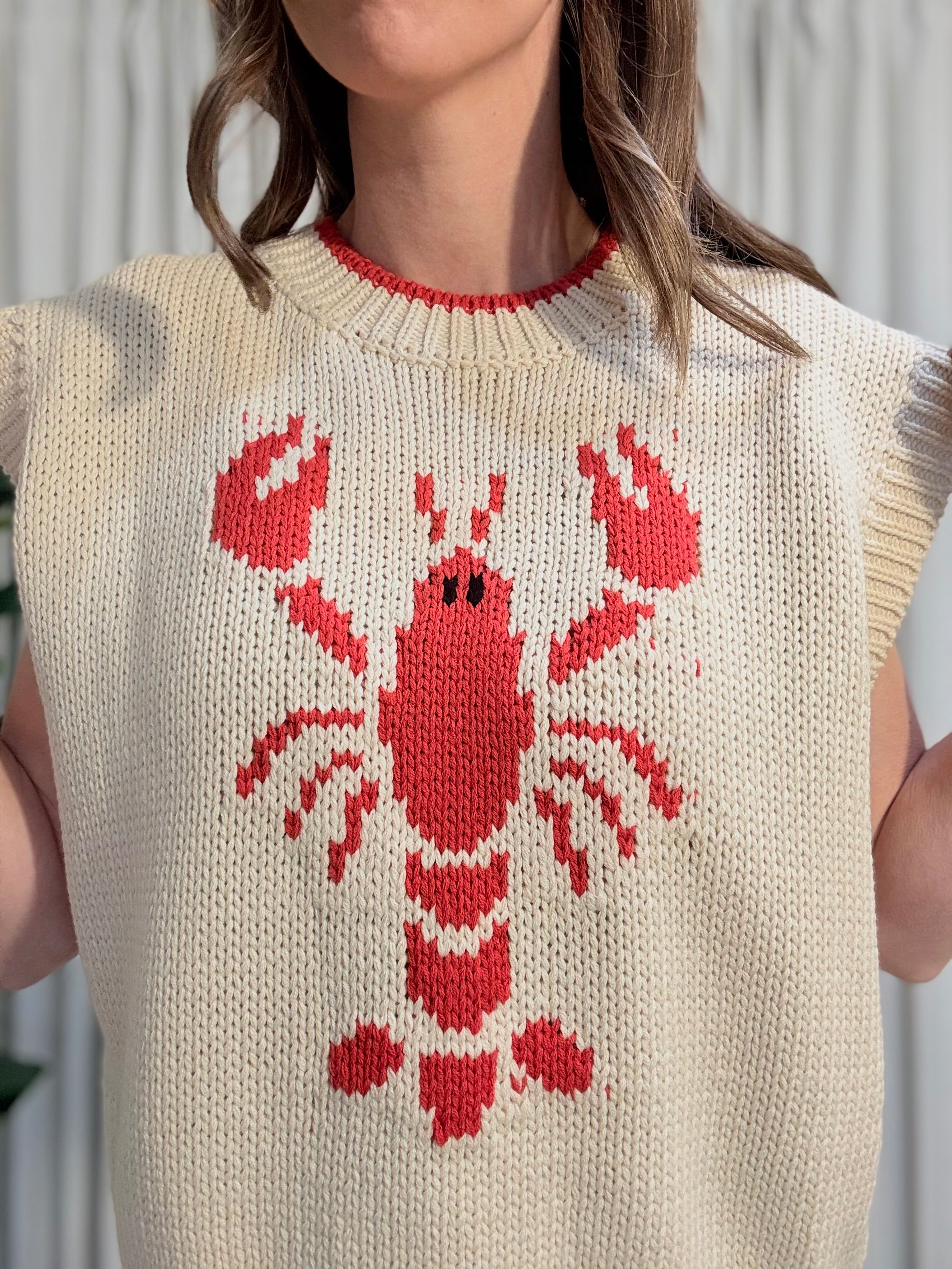 Crawfish Knit Top