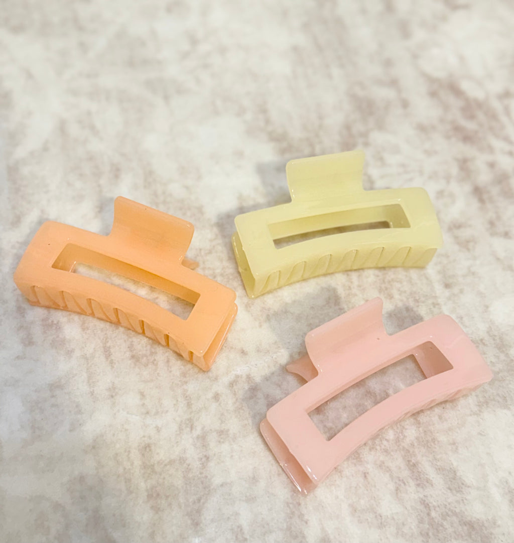 Pastel Claw Clip