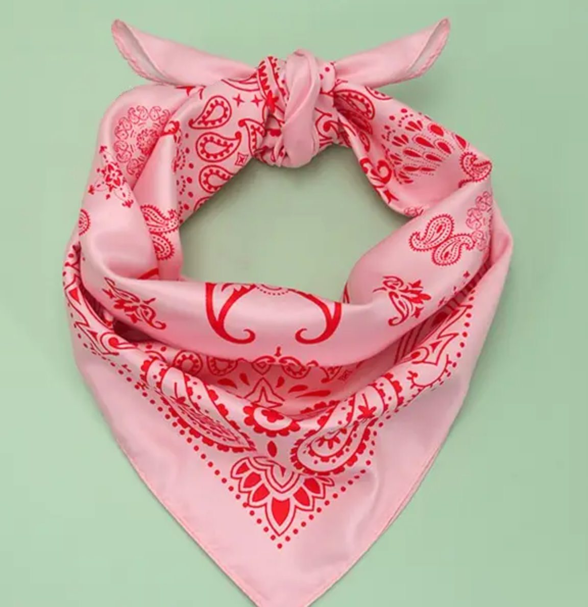 Paisley Pink Scarf