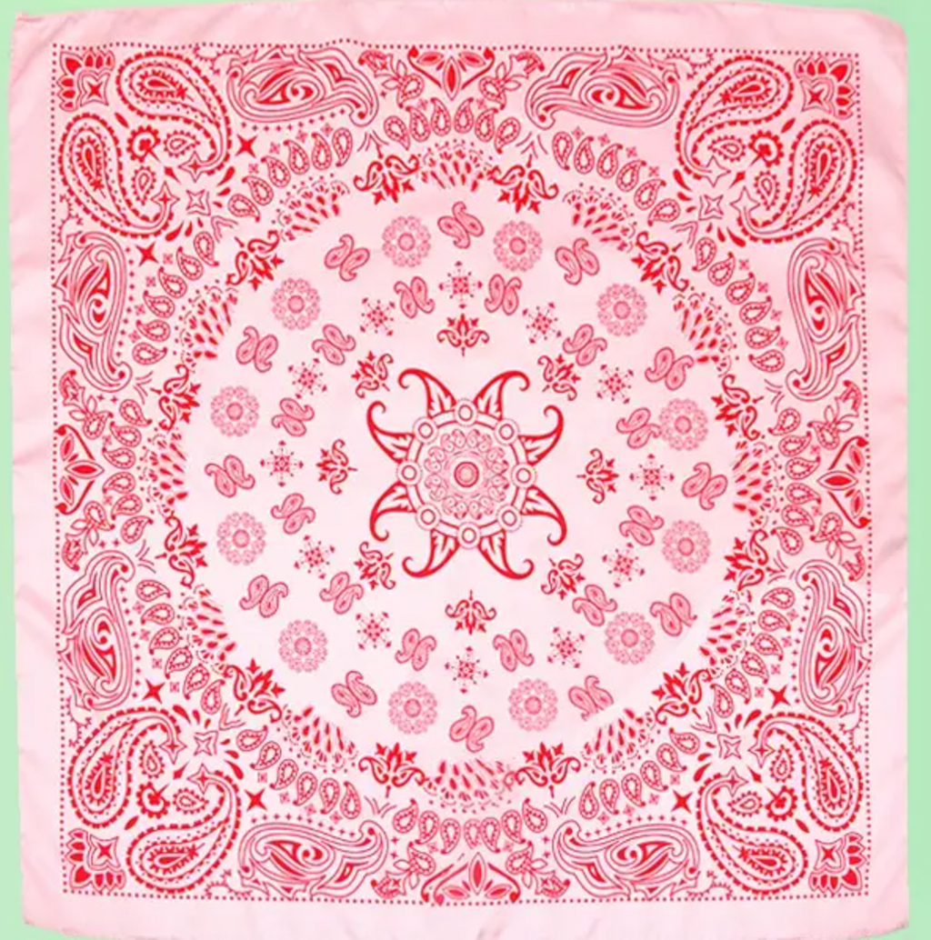 Paisley Pink Scarf
