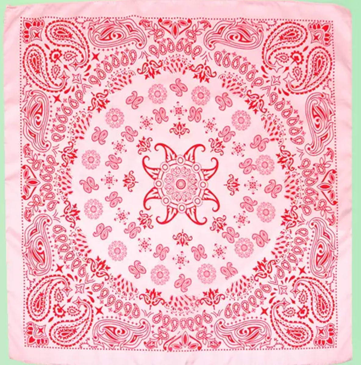 Paisley Pink Scarf
